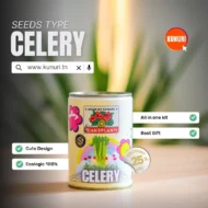 Can2plant-CELLERY