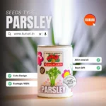 Can2plant - PARSLEY