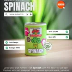 Can2plant-SPINACH